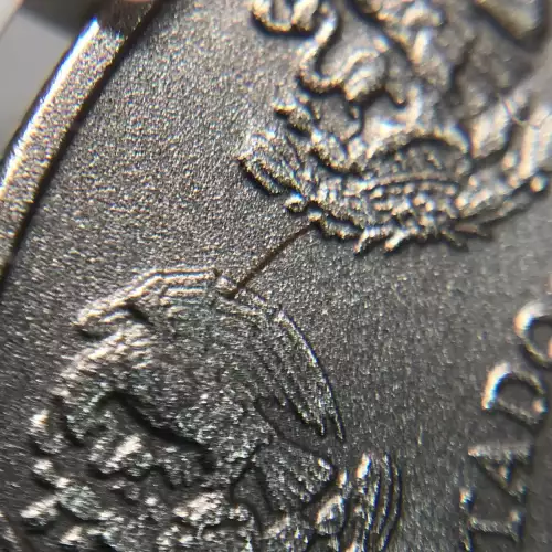 2018Mo Silver  (3)