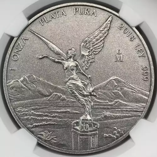 2018Mo Silver  (4)