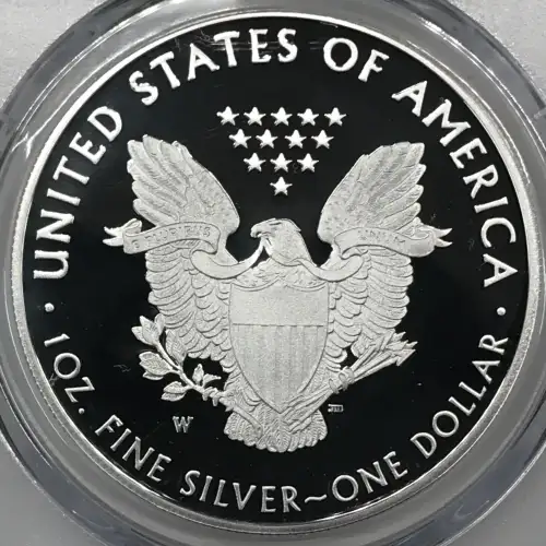 2020-W $1 Silver Eagle - v75 Privy, DCAM (4)