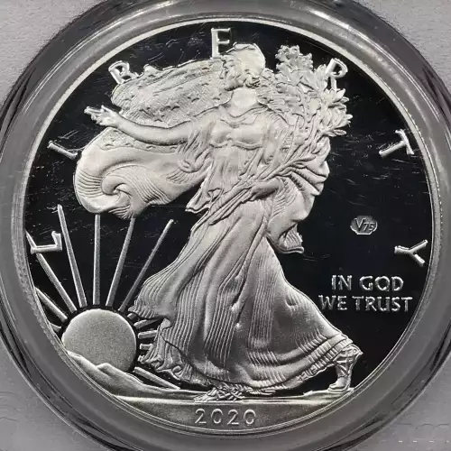 2020-W $1 Silver Eagle - v75 Privy First Strike, DCAM (5)
