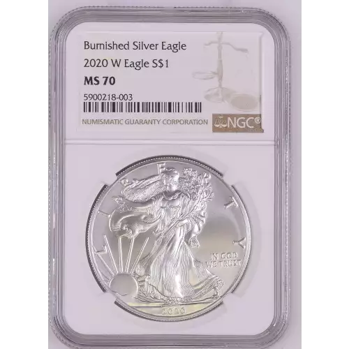 2020 W Burnished Silver Eagle 
