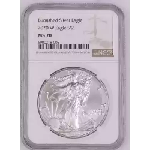 2020 W Burnished Silver Eagle  (2)