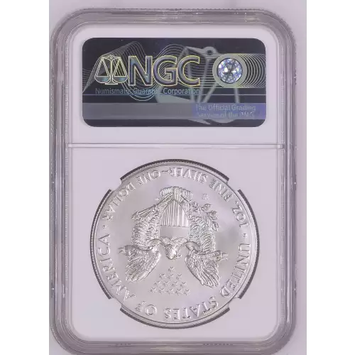 2020 W Burnished Silver Eagle  (3)