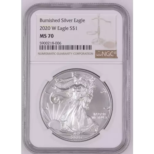 2020 W Burnished Silver Eagle  (2)