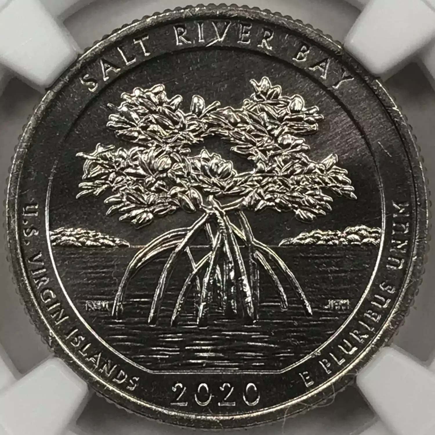 2020W ATB Quarter NGC MS64 Salt Bay National Park Old Pueblo Coin