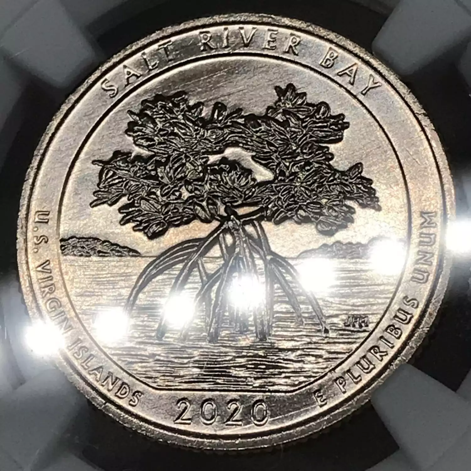 2020W ATB Quarter NGC MS64 Salt Bay National Park Old Pueblo Coin