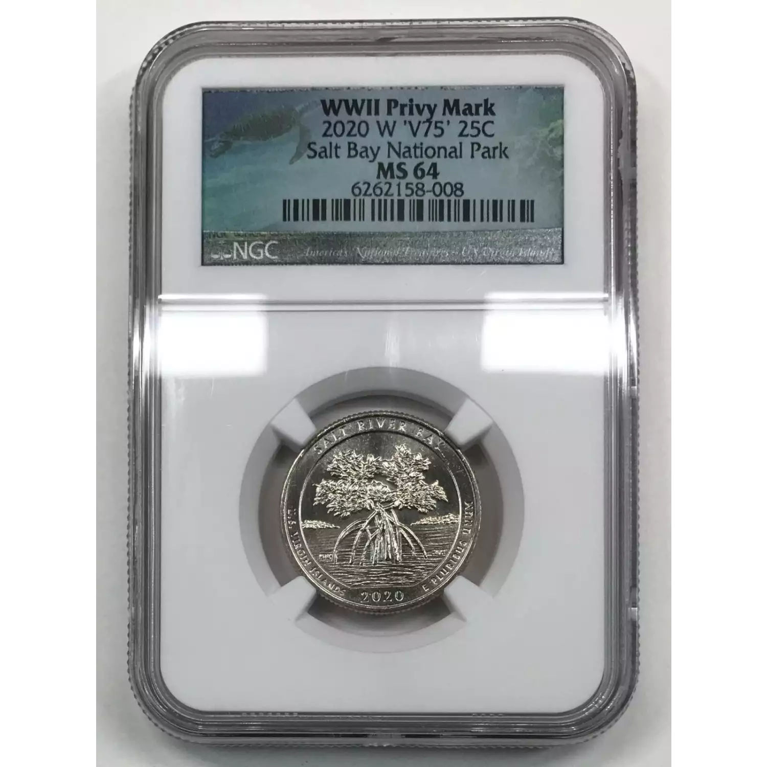 2020W ATB Quarter NGC MS64 Salt Bay National Park Old Pueblo Coin