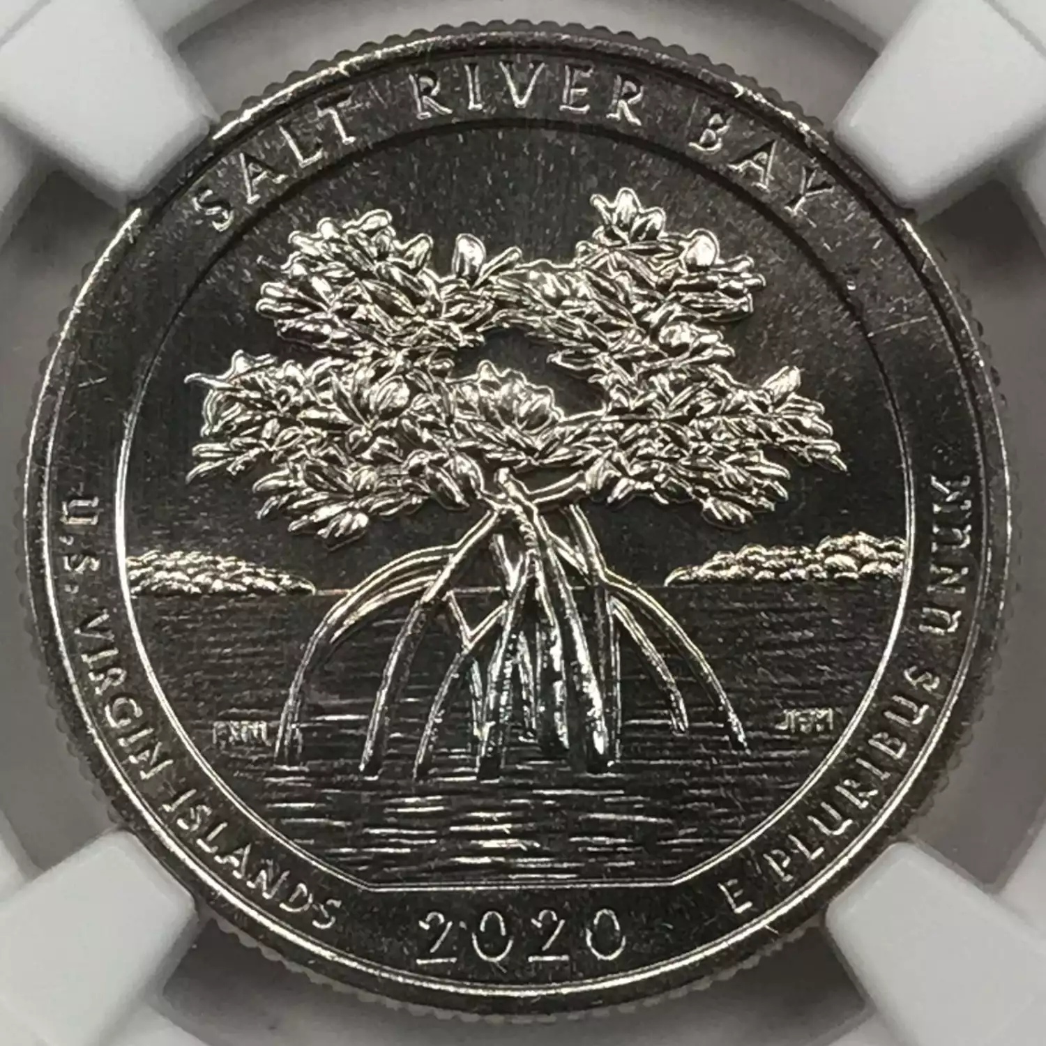2020W ATB Quarter NGC MS64 Salt Bay National Park Old Pueblo Coin