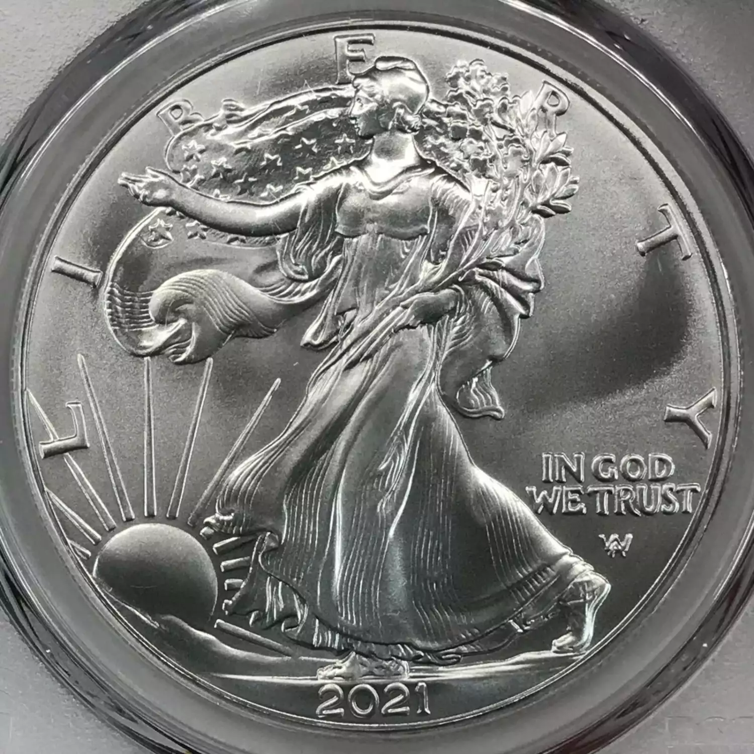2021 $1 Silver Eagle - Type 2 First Strike (4)