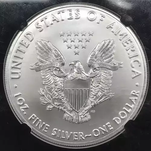 2021 Heraldic Eagle T-1 Final T-1 Production  (2)