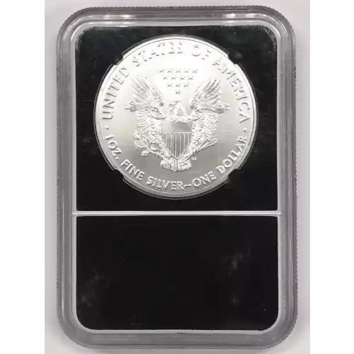 2021 Heraldic Eagle T-1 Final T-1 Production 