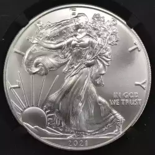 2021 Heraldic Eagle T-1 First Day of Issue  (3)