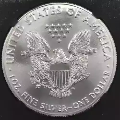 2021 Heraldic Eagle T-1 First Day of Issue  (4)