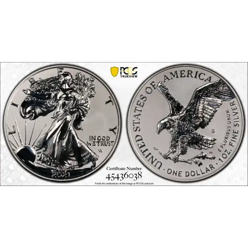 2021-S $1 Silver Eagle Rev PR - Type 2 Designer Edition - First Strike (2)