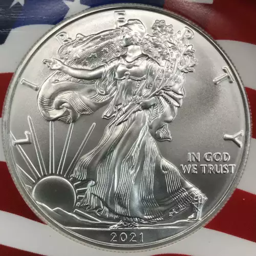 2021(S) Heraldic Eagle T-1 Emergency Production-ER Struck at San Francisco  (3)