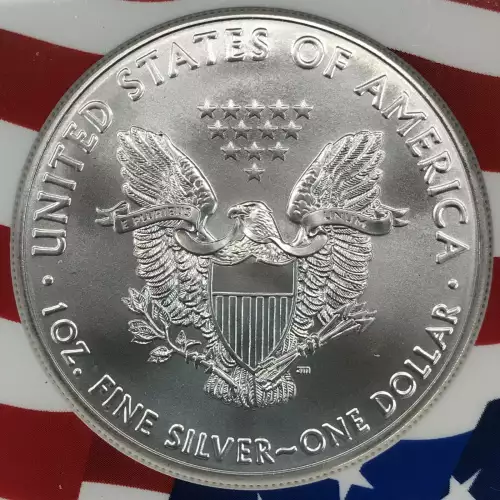 2021(S) Heraldic Eagle T-1 Emergency Production-ER Struck at San Francisco  (4)