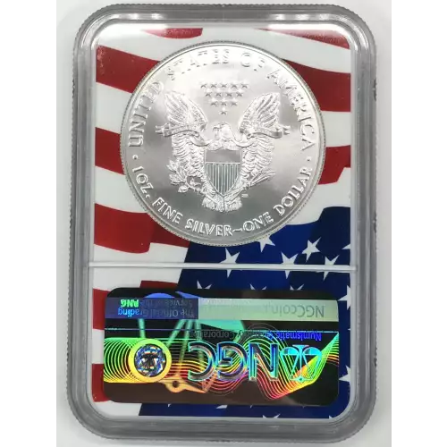 2021(S) Heraldic Eagle T-1 Emergency Production-ER Struck at San Francisco  (2)