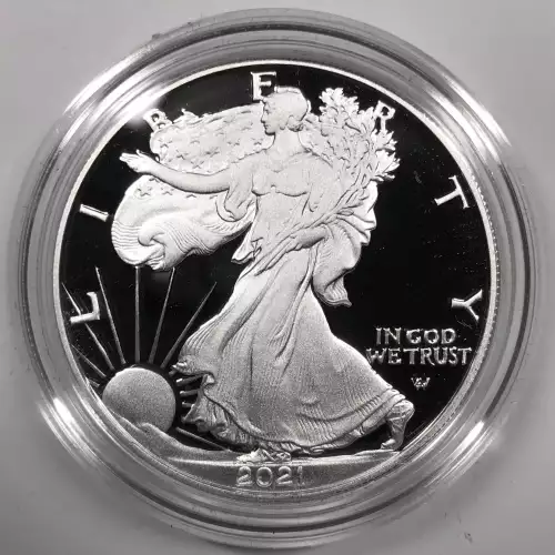 2021-S Type 2 (Eagle Landing) Proof Silver Eagle w OGP - Box & COA