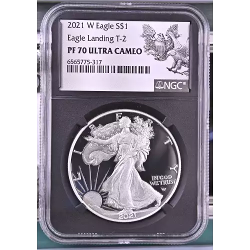 2021 W Eagle Landing T-2 ULTRA CAMEO (2)