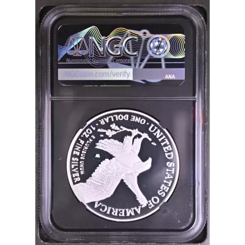 2021 W Eagle Landing T-2 ULTRA CAMEO (3)