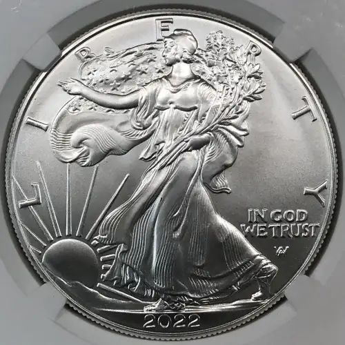 2022 (3)