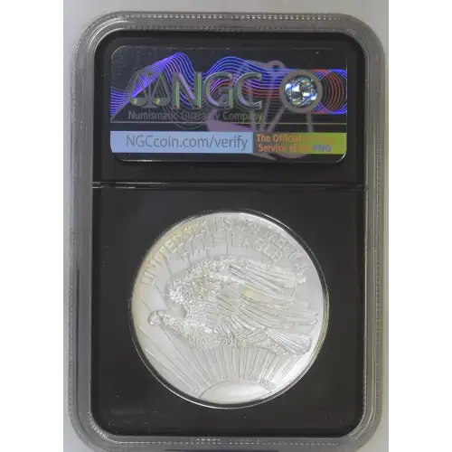 2022 Saint-Gaudens' Half Eagle Super Incuse - FR Saint-Gaudens NPF Commem (9)