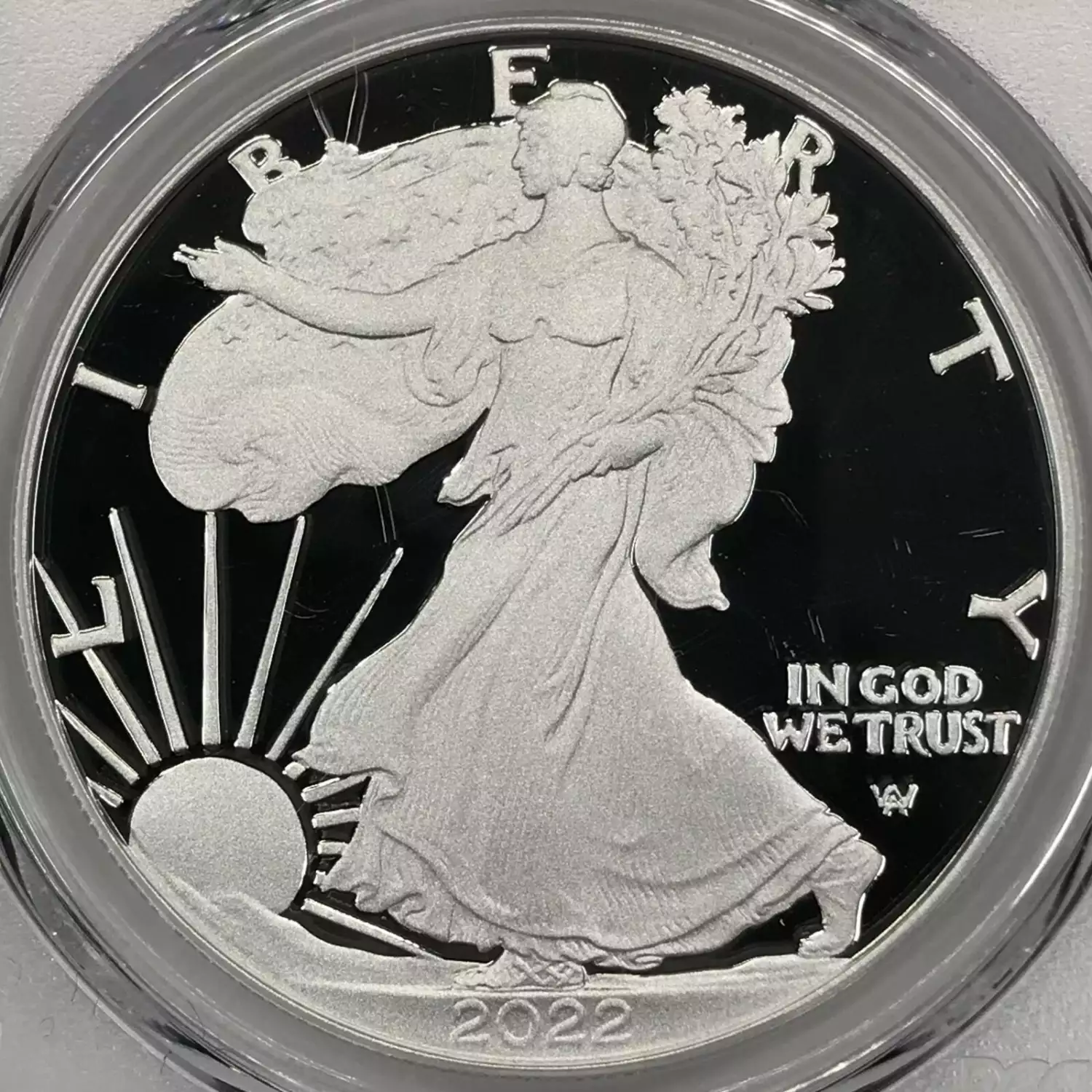 2022-W $1 Silver Eagle, DCAM