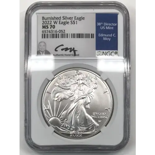 2022 W Burnished Silver Eagle (2)