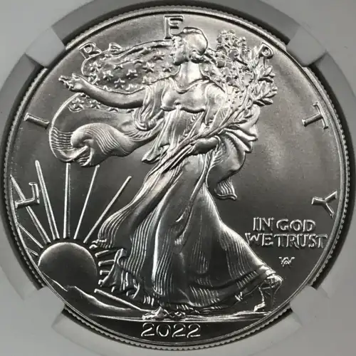 2022 W Burnished Silver Eagle (3)