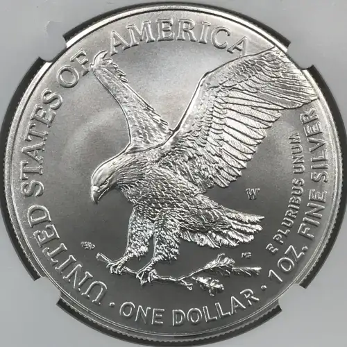 2022 W Burnished Silver Eagle