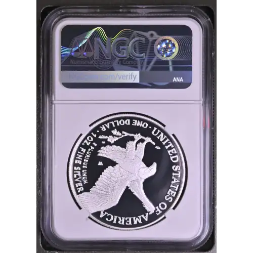 2022 W  ULTRA CAMEO (3)