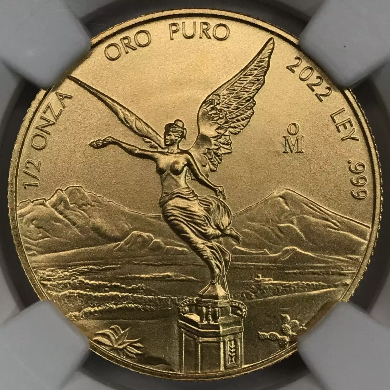 その他 25yearsagoNotforsale,unopenedANAgoldpass 1908 $20 Saint Gaudens No Motto NGC MS66