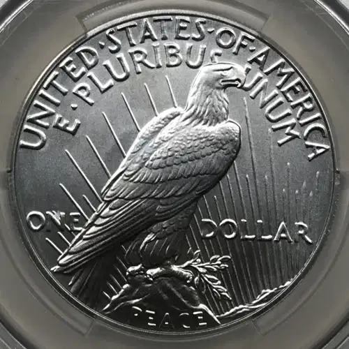 2023 Peace $1 (4)