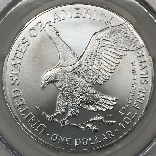 2023 Silver Eagle S$1 (2)