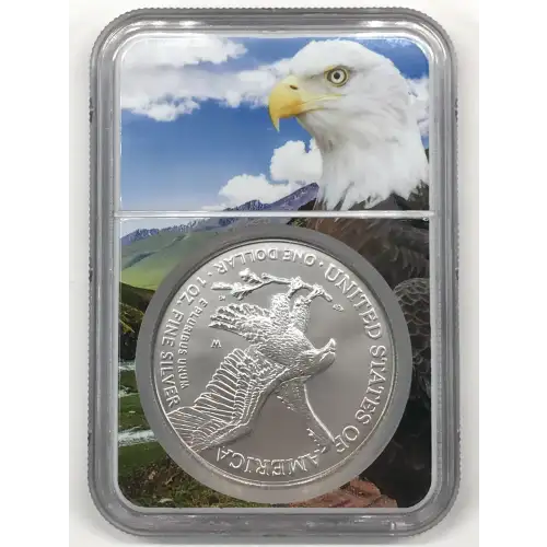 2023 W Early Releases Burnished Silver Eagle