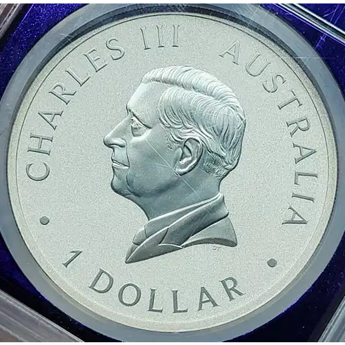 2024 1 oz Silver NGC MS-69 Australia $1 Wedge Tailed Eagle 10th Anniversary  generic