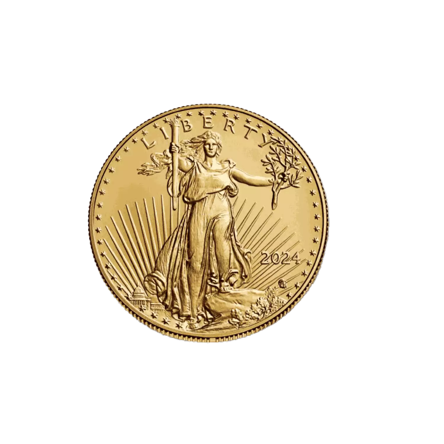 2024 Gold American Eagle Coin 1oz Gold coin Old Pueblo Coin