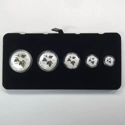 2024  Canada's Autumn Beauty Reverse Proof Fractional Silver 5-Coin Set w OGP (2)