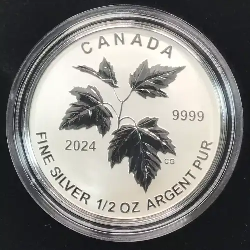 2024  Canada's Autumn Beauty Reverse Proof Fractional Silver 5-Coin Set w OGP (3)