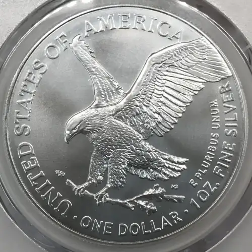 2024-(P) $1 Silver Eagle with Star Privy Struck at Philadelphia First Strike (2)