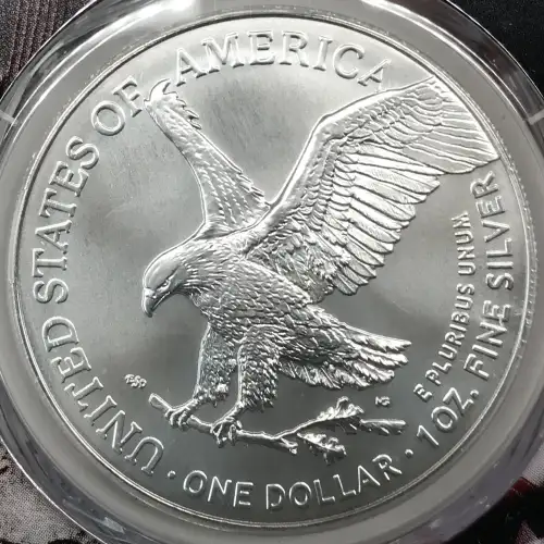 2024-(P) $1 Silver Eagle with Star Privy Struck at Philadelphia First Strike (2)