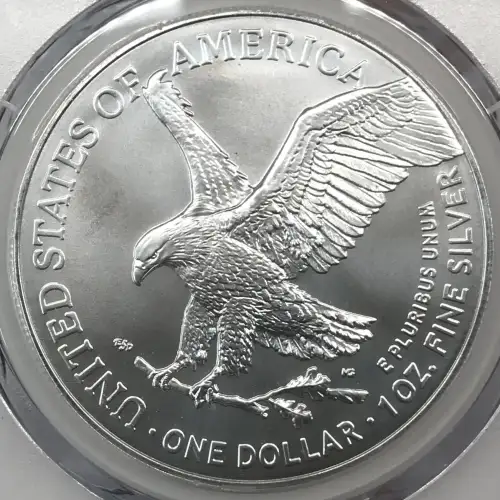 2024-(P) $1 Silver Eagle with Star Privy Struck at Philadelphia First Strike (4)