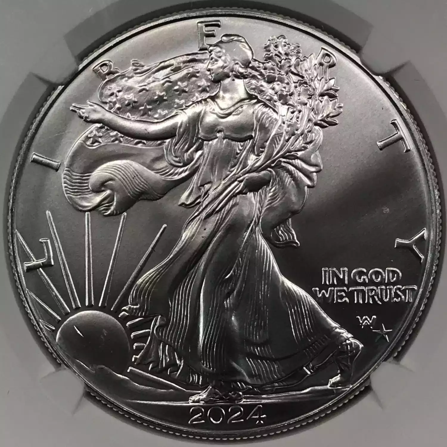 2025(P) Silver Eagle NGC GEM UNCIRCULATED First Star Privy Release Old Pueblo Coin