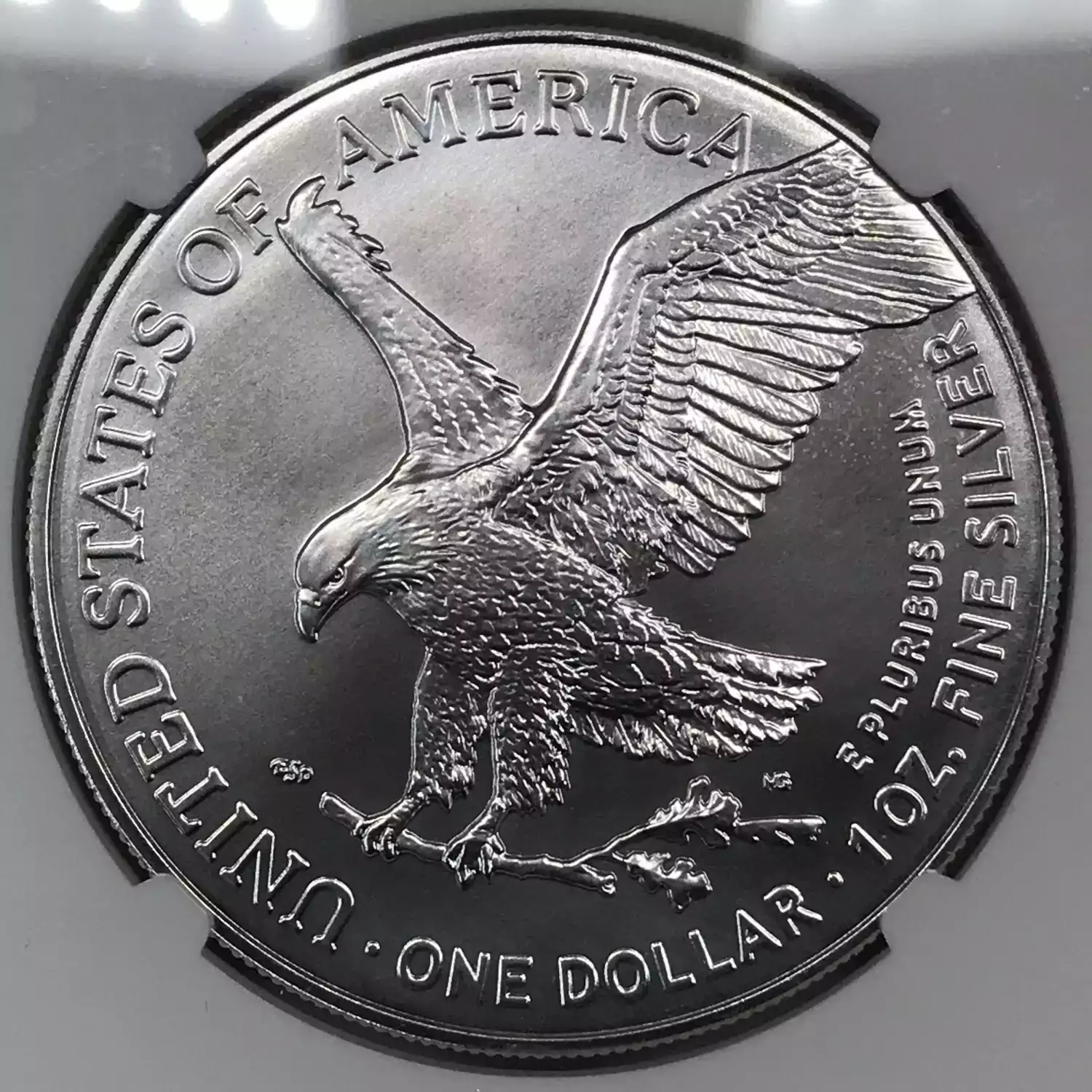 2024(P) Silver Eagle NGC GEM UNCIRCULATED First Star Privy Release