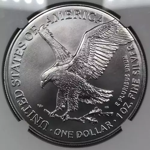 2024(P) Silver Eagle NGC GEM UNCIRCULATED First Star Privy Release