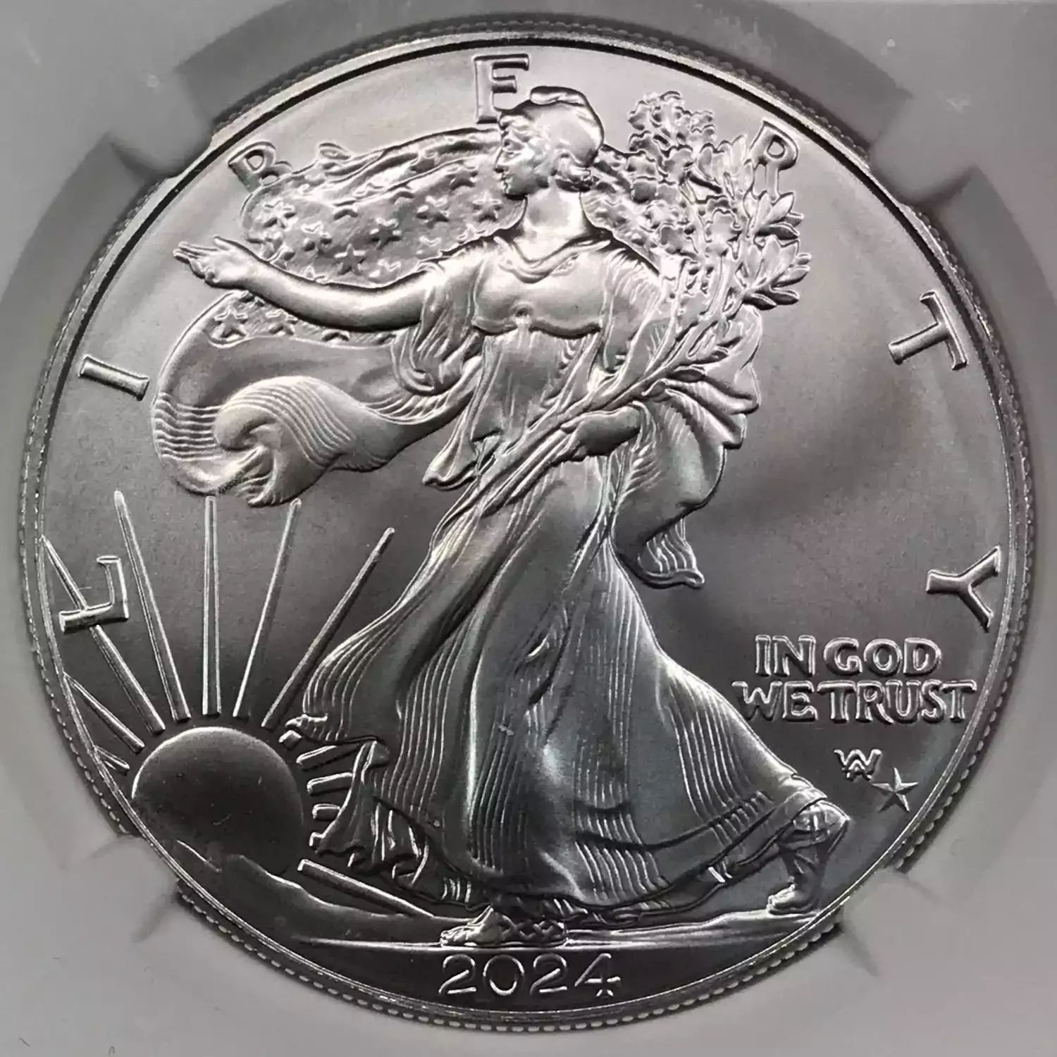 2024(P) Silver Eagle NGC MS69 First Star Privy Release Old Pueblo Coin