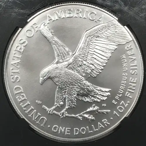 2024(P) Star Privy (3)