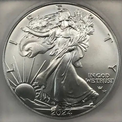 2024(P) Star Privy (2)