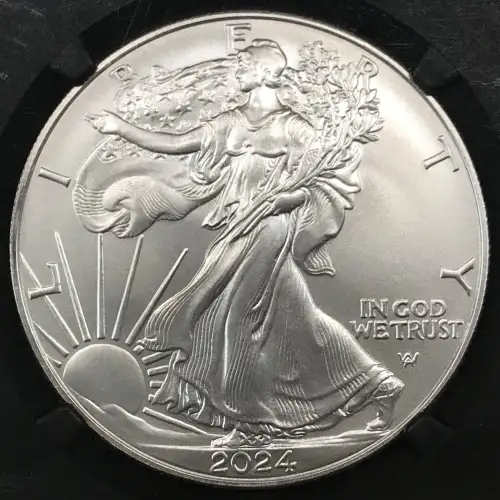 2024(W) First Day of Issue Struck at West Point Mint (3)