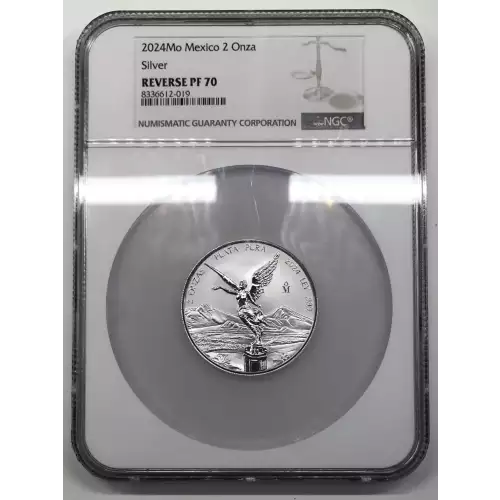 2024Mo Silver (2)